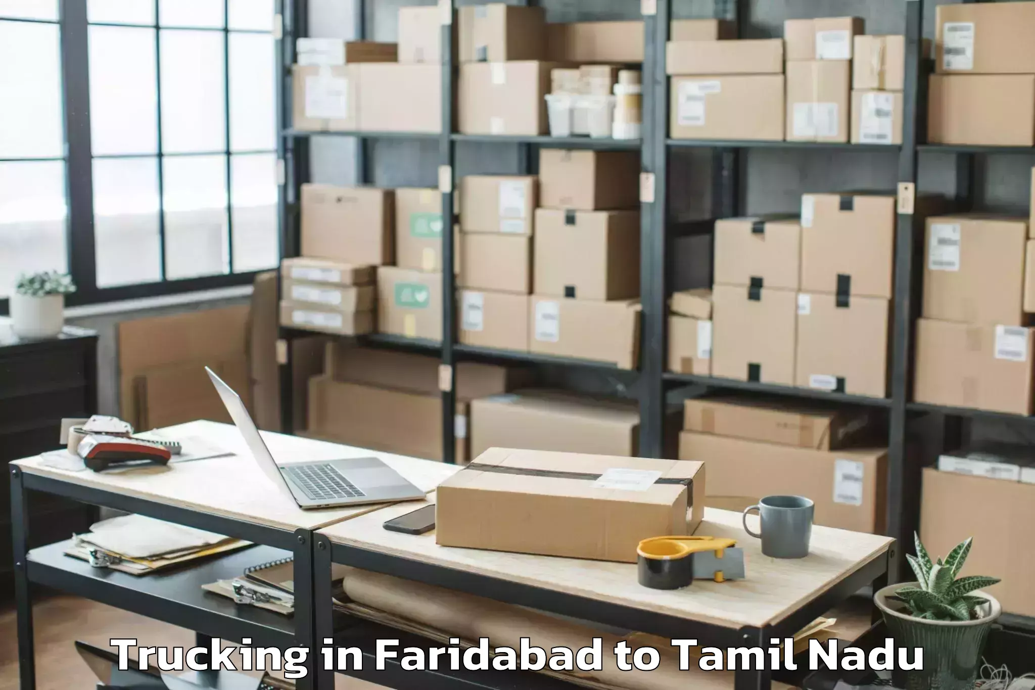 Book Faridabad to Manachanallur Trucking Online